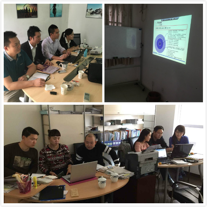 (銷售大區(qū)視頻會議形式參與戰(zhàn)略宣貫座談圖片)